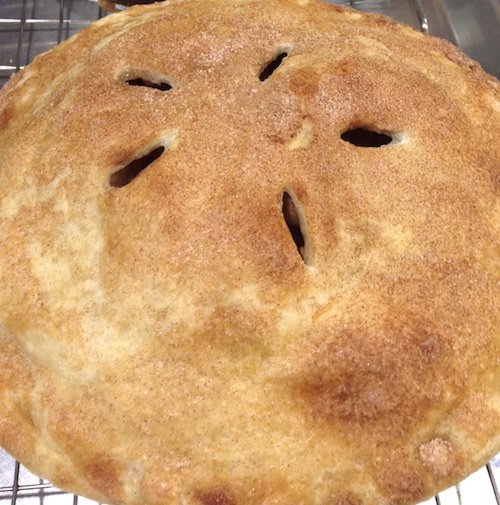 A whole Apple Pie with a lattice top, baked deep gold, the apples bubbling at the edges.